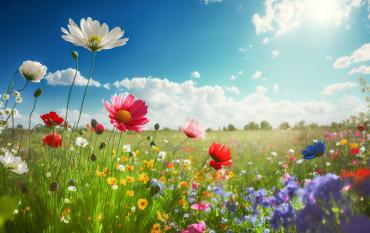 8 hermosos poemas sobre la naturaleza para niños