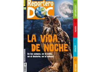 Reportero Doc: avance marzo 2024