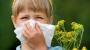Alergias: Síntomas, tipos y tratamientos