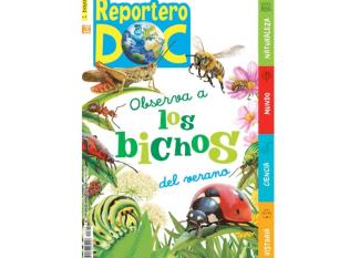 reportero doc julio y agosto 2024
