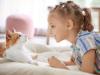 Dictados para niños sobre historias de gatos