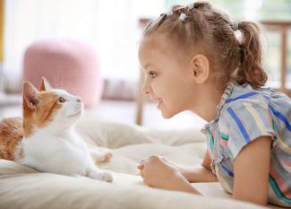 Dictados para niños sobre historias de gatos