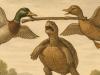 Fábula teatralizada de La tortuga y los patos