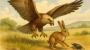 Fábula de Esopo: El águila, la liebre y el escarabajo