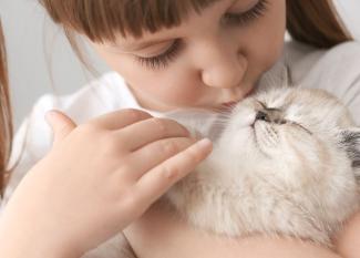 Adivinanzas de animales para niños en inglés