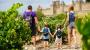 Los castillos más espectaculares en España para visitar en familia