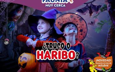 Halloween con niños en Faunia. Un plan perfecto con animales y dulces