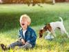 Miedo de los niños a los perros