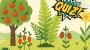 Test para niños divertido: ¿Cuánto sabes de las plantas?
