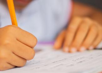 Dictados infantiles para practicar la descripción