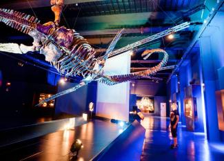 Dinópolis con niños