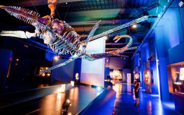 Dinópolis con niños: el plan definitivo para amantes de los dinosaurios