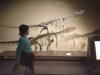 museo de los dinosaurios con niños