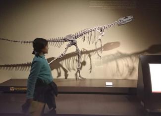 museo de los dinosaurios con niños