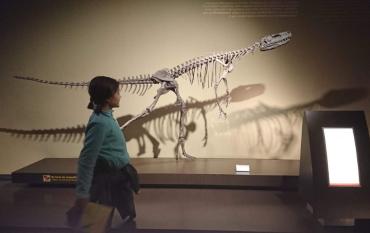 Descubre el museo del Jurásico de Asturias con niños