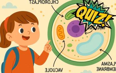 ¿Cuánto sabes de la célula?