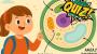 Quizz para niños de 5º de Primaria: ¿Cuánto sabes de la célula?