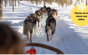 Los mejores lugares para pasear en trineos de perros con los niños en España