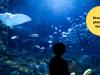 Acuario de Gijón con los niños