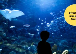 Acuario de Gijón con los niños