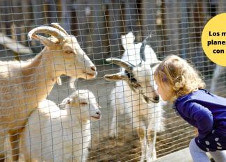 Zoo de Guadalajara con niños