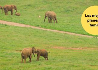 Parque de Cabárceno con niños 