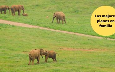 Parque de Cabárceno con niños. Plan de fin de semana con niños en la naturaleza