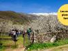 Plan en el Valle del Jerte con niños