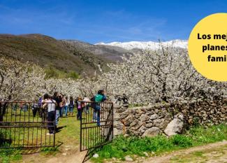 Plan en el Valle del Jerte con niños