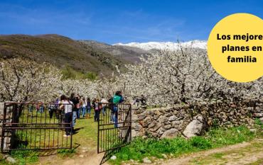Un plan divertido y bonito en el Valle del Jerte con los niños
