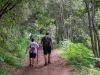 Rutas senderistas en verano con niños
