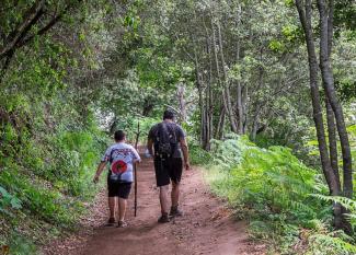 Rutas senderistas en verano con niños