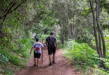 5 rutas senderistas para ir con niños en verano en España sin pasar mucho calor