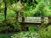 Jardines botánicos en España