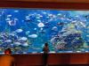 Guía completa para visitar el Oceanogràfic con niños