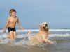 Playas de perros y niños en España