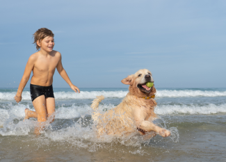 Playas de perros y niños en España