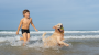 Las mejores playas dog-friendly de España para ir con niños y perros