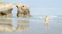 Visita imprescindible a la Playa de las Catedrales con niños