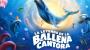 La leyenda de la ballena cantora, una película infantil para encontrar tu propia voz