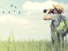 avistamiento de aves con niños