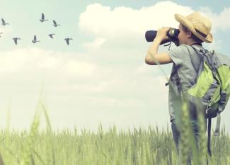 avistamiento de aves con niños
