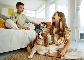 como crear un hogar seguro