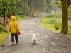 Los 7 mejores planes para día del lluvia 
