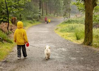 Los 7 mejores planes para día del lluvia 