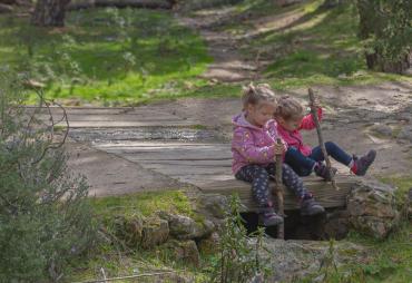 La ruta fácil y corta con niños por uno de los bosques más impresionantes de Madrid