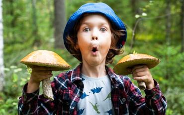 Los mejores sitios para ir a buscar setas con niños en España