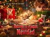 Ratones al ataque: Operación Navidad