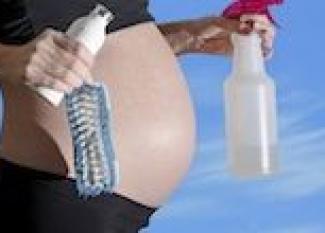 Semana 8 de embarazo: ¿Son perjudiciales los productos de limpieza?