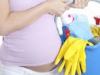 Exposición a productos químicos en el embarazo